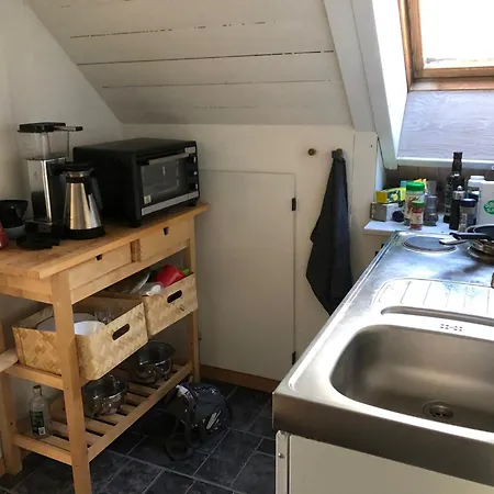 Friisenborg Проживание в семье *